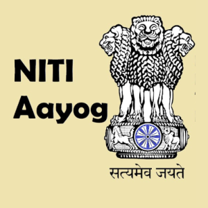 Untitled design (79)